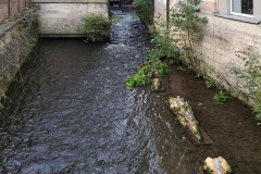 fahrt_nach_andersland_12_20231023_1289035177