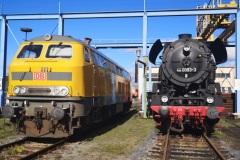 fahrt_nach_andersland_64_20231023_1693297825