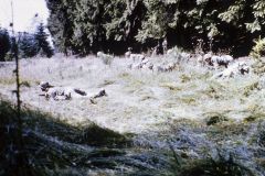 grundausbildung_20230519_1483200974