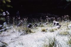 grundausbildung_20230519_1518520063