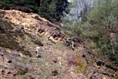 innendienst_im_ausseneinsatz_9_20150501_1581158385