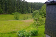 40oder_mehrjaehriges_44_20150630_1339388610