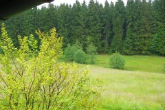 40oder_mehrjaehriges_45_20150630_1269812766