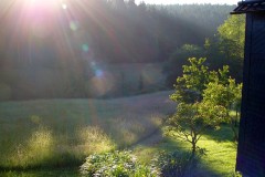 40oder_mehrjaehriges_46_20150630_1793804308