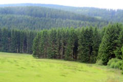 treffen_der_ehemaligen_vom_26_bis_28_juni_2015__20150628_1065940762