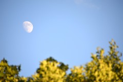 treffen_der_ehemaligen_vom_26_bis_28_juni_2015__20150628_1171545754