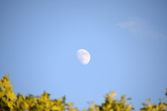 treffen_der_ehemaligen_vom_26_bis_28_juni_2015__20150628_1192204051