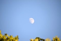 treffen_der_ehemaligen_vom_26_bis_28_juni_2015__20150628_1487778902