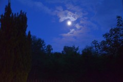 treffen_der_ehemaligen_vom_26_bis_28_juni_2015__20150628_1598845568