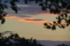 treffen_der_ehemaligen_vom_26_bis_28_juni_2015__20150628_1653404005