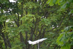 treffen_der_ehemaligen_vom_26_bis_28_juni_2015__20150628_1858263844