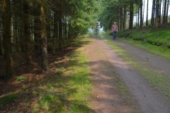 ehemaligentreff_2017_20170904_1059155430