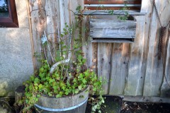 ehemaligentreff_2017_20170904_1358721263
