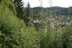ehemaligentreff_2017_20170904_1404647262