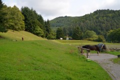 ehemaligentreff_2017_20170904_1456178326