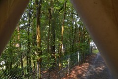 ehemaligentreff_2017_20170904_1505219477