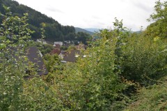 ehemaligentreff_2017_20170904_1546213940