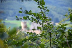 ehemaligentreff_2017_20170904_1605363976