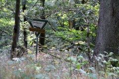 ehemaligentreff_2017_20170904_1651798360