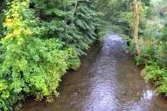 ehemaligentreff_2017_20170904_1750767803