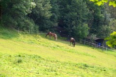 ehemaligentreff_2017_20170904_1927989949