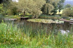 ehemaligentreff_2017_20170904_1960477603