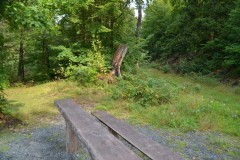 ehemaligentreff_2017_20170904_1990522220