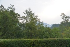 ehemaligentreff_2017_20170904_2047333528