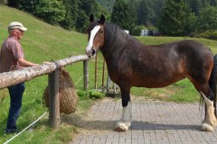 wochenende_mit_kameraden_29_20170831_2004687204