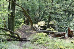 wochenende_mit_kameraden_2_20170831_1487925035