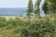 wochenende_mit_kameraden_3_20170831_1668849485