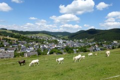 wochenende_mit_kameraden_7_20170831_1161138563