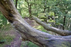 wochenende_mit_kameraden_7_20170831_1912564035