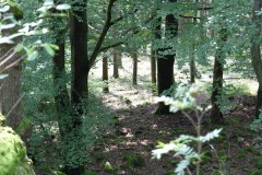 wochenende_mit_kameraden_8_20170831_1936465964
