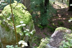 wochenende_mit_kameraden_9_20170831_1636679748