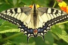 kaltensundheim_9_20221120_1245110243