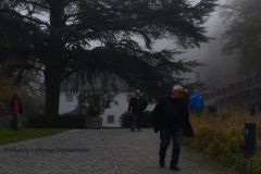 treffen_6_36_20221117_1606528079