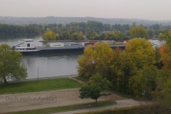 treffen_6_8_20221117_1675366086